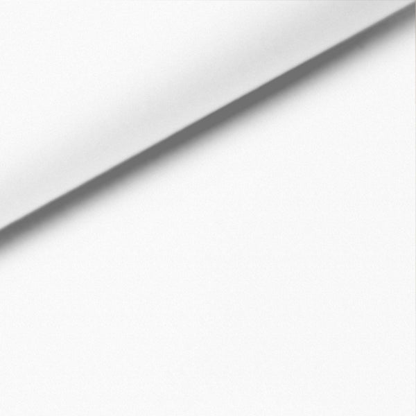 Andes White Solid Pinpoint Oxford Dress Shirt – The Custom Shop Clothiers